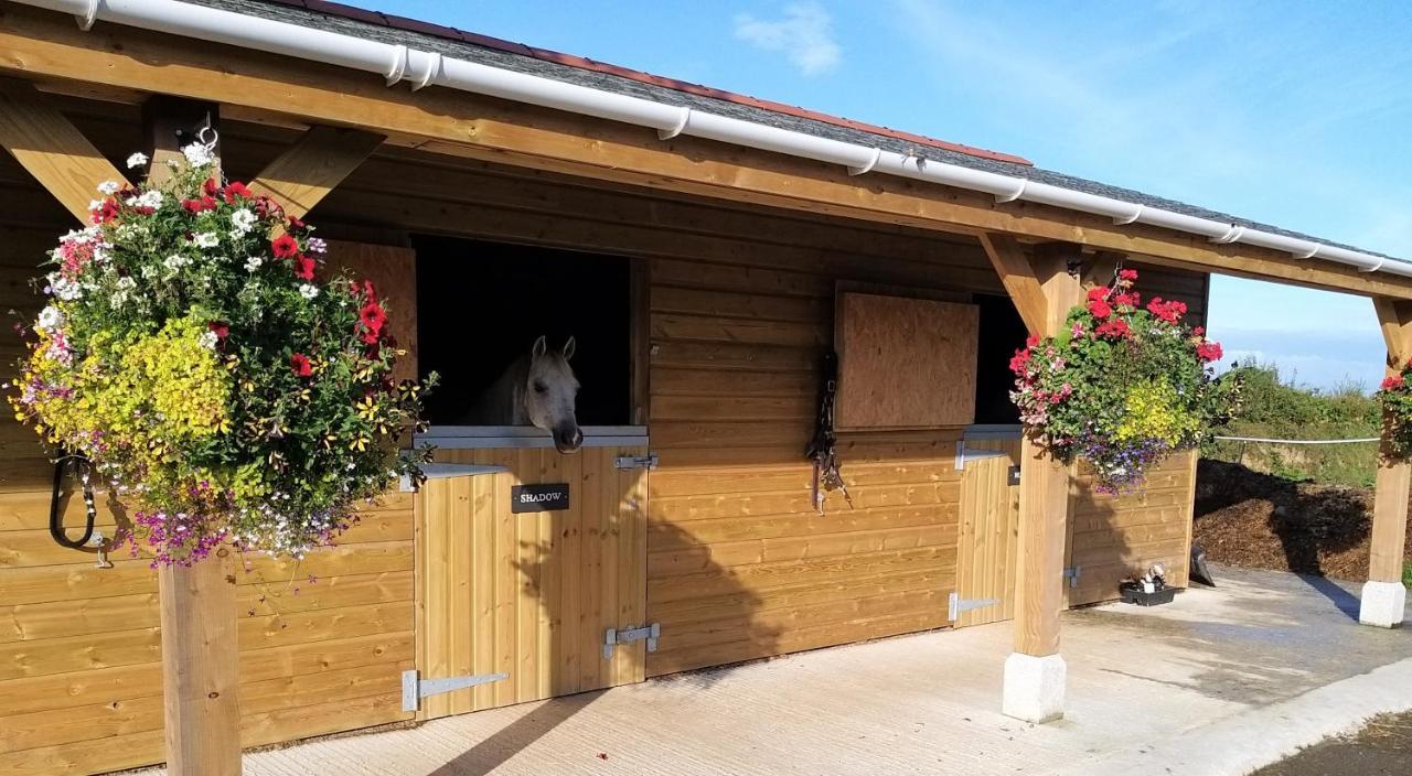 Villa Rosebank Barn à Brentor Extérieur photo